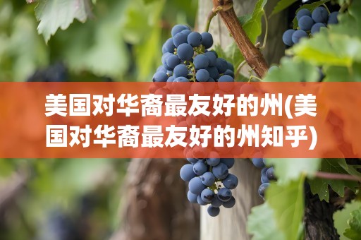 美国对华裔最友好的州(美国对华裔最友好的州知乎)