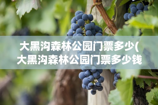 大黑沟森林公园门票多少(大黑沟森林公园门票多少钱)