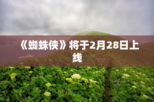 《蜘蛛侠》将于2月28日上线