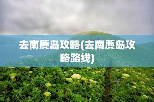 去南麂岛攻略(去南麂岛攻略路线)