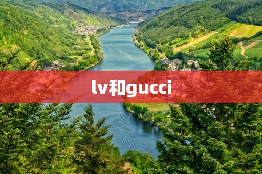 lv和gucci