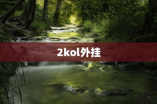 2kol外挂