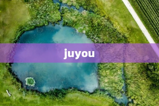 juyou