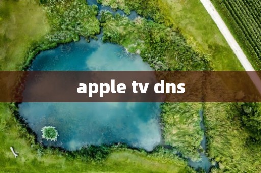 apple tv dns