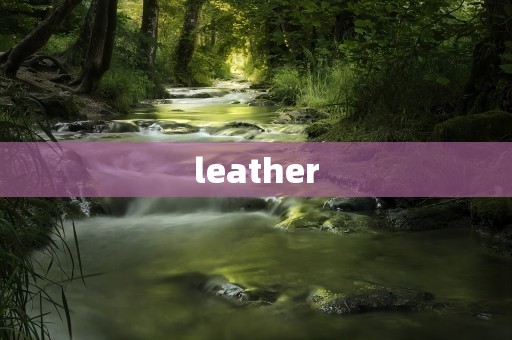 leather