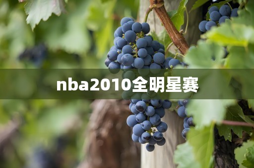 nba2010全明星赛