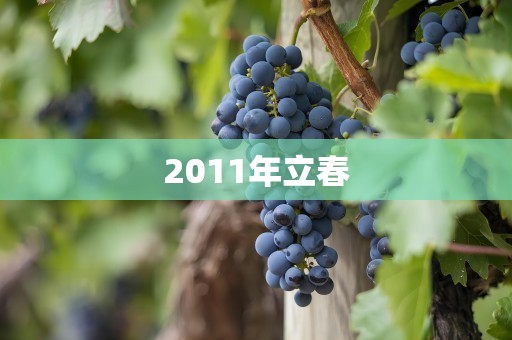 2011年立春