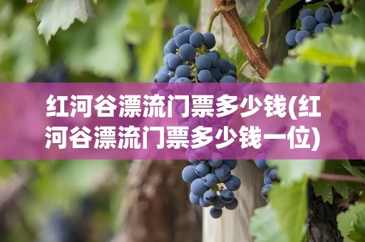 红河谷漂流门票多少钱(红河谷漂流门票多少钱一位)