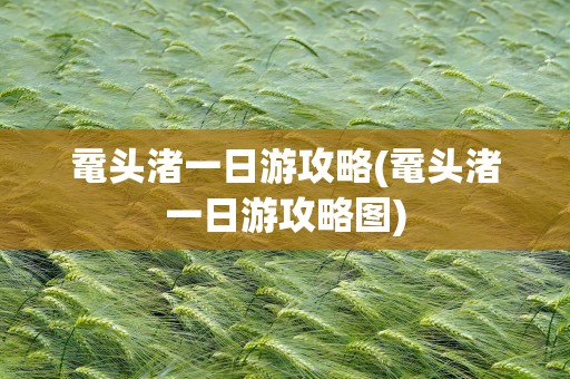 鼋头渚一日游攻略(鼋头渚一日游攻略图)