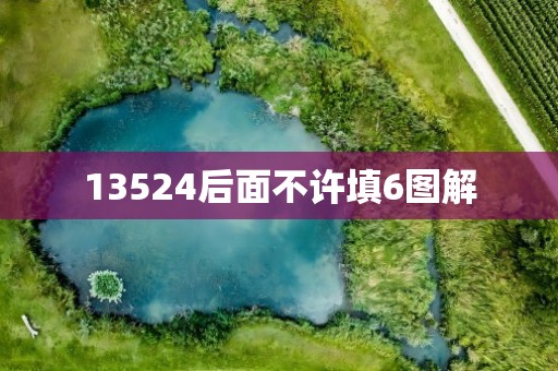 13524后面不许填6图解
