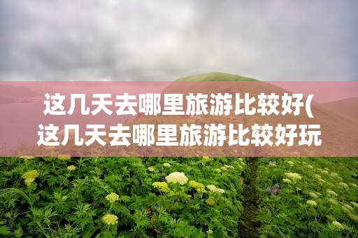 这几天去哪里旅游比较好(这几天去哪里旅游比较好玩)