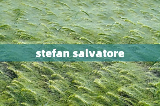 stefan salvatore