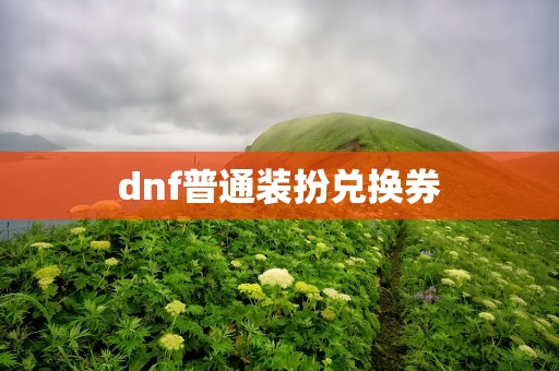 dnf普通装扮兑换券