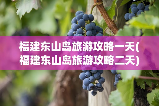 福建东山岛旅游攻略一天(福建东山岛旅游攻略二天)