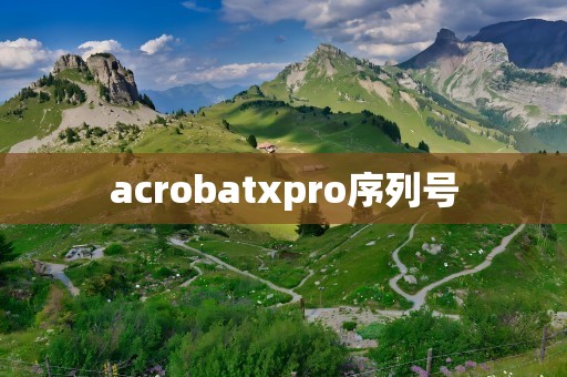 acrobatxpro序列号