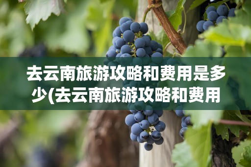去云南旅游攻略和费用是多少(去云南旅游攻略和费用是多少学生)