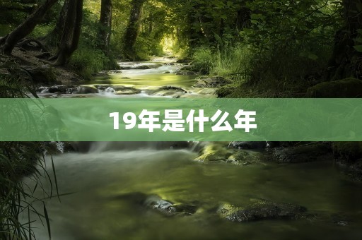 19年是什么年