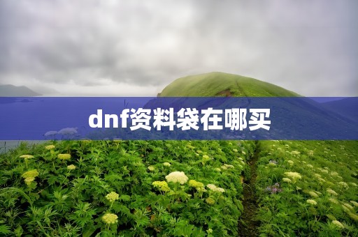 dnf资料袋在哪买