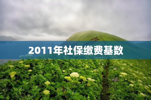 2011年社保缴费基数