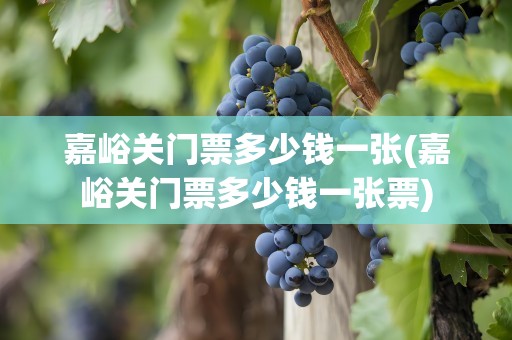 嘉峪关门票多少钱一张(嘉峪关门票多少钱一张票)