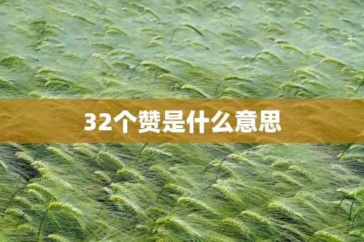 32个赞是什么意思