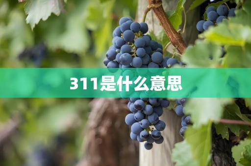 311是什么意思