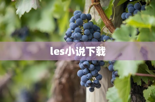 les小说下载