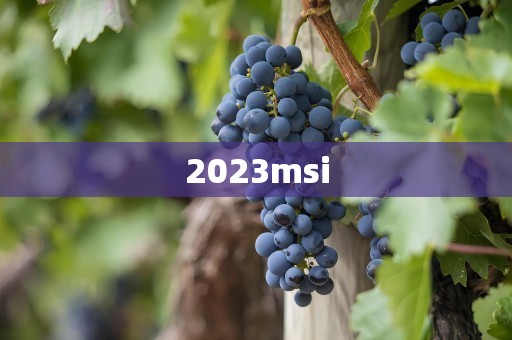 2023msi