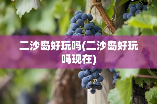 二沙岛好玩吗(二沙岛好玩吗现在)