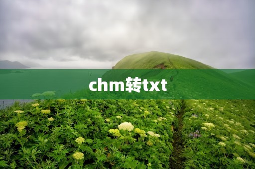 chm转txt