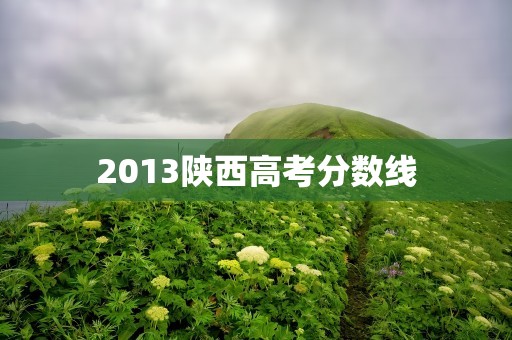 2013陕西高考分数线