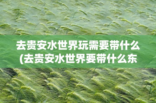 去贵安水世界玩需要带什么(去贵安水世界要带什么东西)