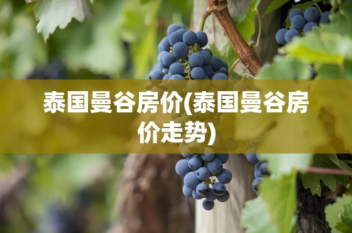 泰国曼谷房价(泰国曼谷房价走势)