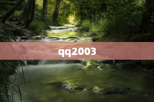 qq2003