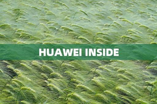 HUAWEI INSIDE