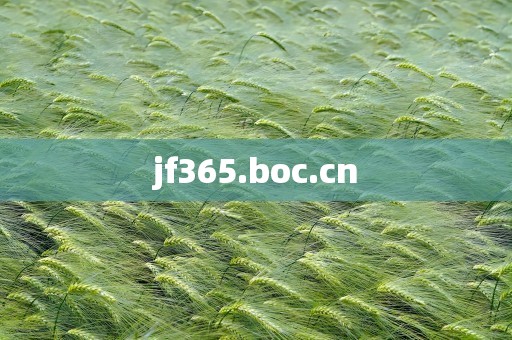 jf365.boc.cn