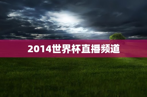 2014世界杯直播频道