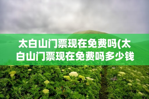 太白山门票现在免费吗(太白山门票现在免费吗多少钱)