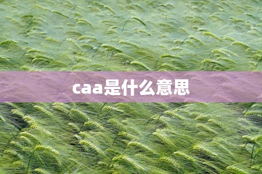 caa是什么意思
