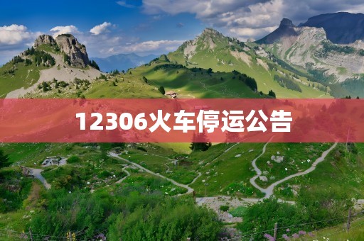 12306火车停运公告