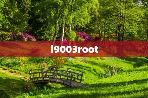 i9003root
