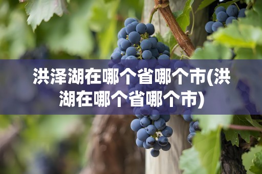 洪泽湖在哪个省哪个市(洪湖在哪个省哪个市)