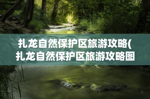 扎龙自然保护区旅游攻略(扎龙自然保护区旅游攻略图)
