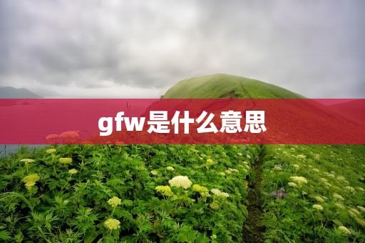 gfw是什么意思
