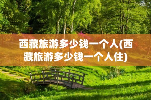 西藏旅游多少钱一个人(西藏旅游多少钱一个人住)