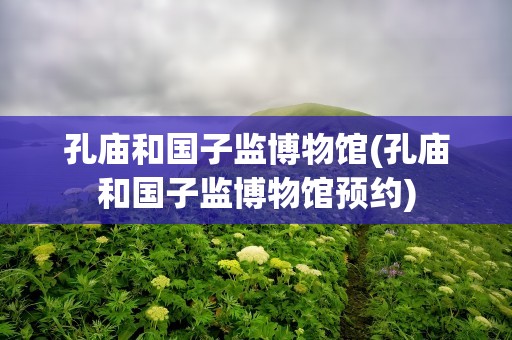 孔庙和国子监博物馆(孔庙和国子监博物馆预约)