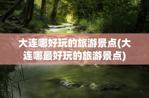 大连哪好玩的旅游景点(大连哪最好玩的旅游景点)