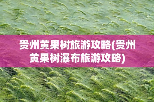 贵州黄果树旅游攻略(贵州黄果树瀑布旅游攻略)