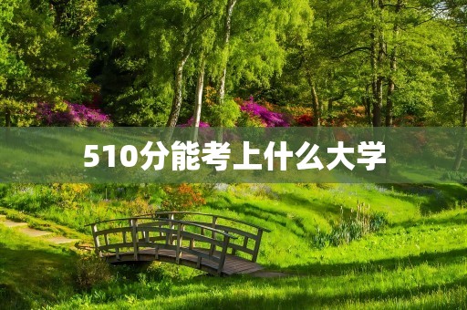510分能考上什么大学