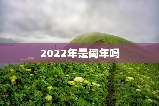 2022年是闰年吗